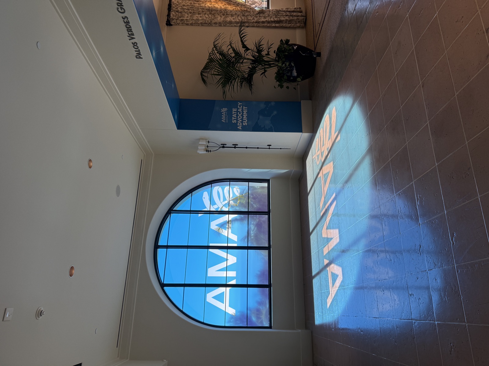 ANA branded arched window with blue translucent film